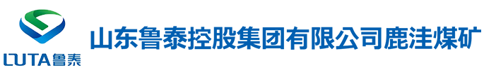 山东鲁泰控股集团有限公司鹿洼煤矿