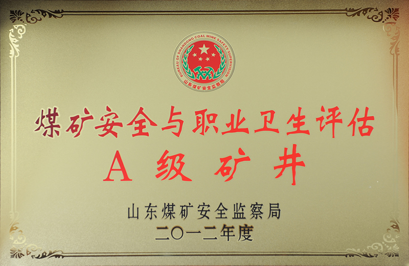 安全与职业卫生评估A级矿井